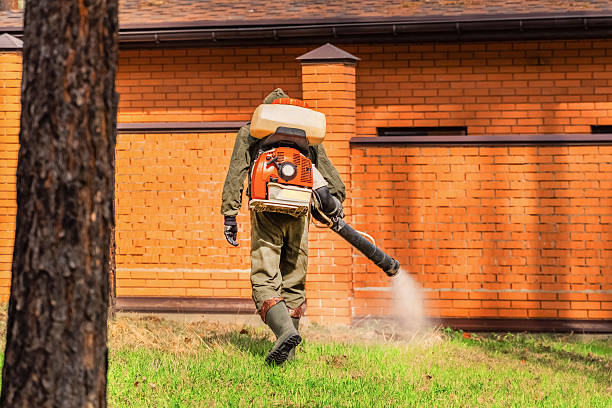 Bed Bug Clearance Verification and Documentation in Puhi